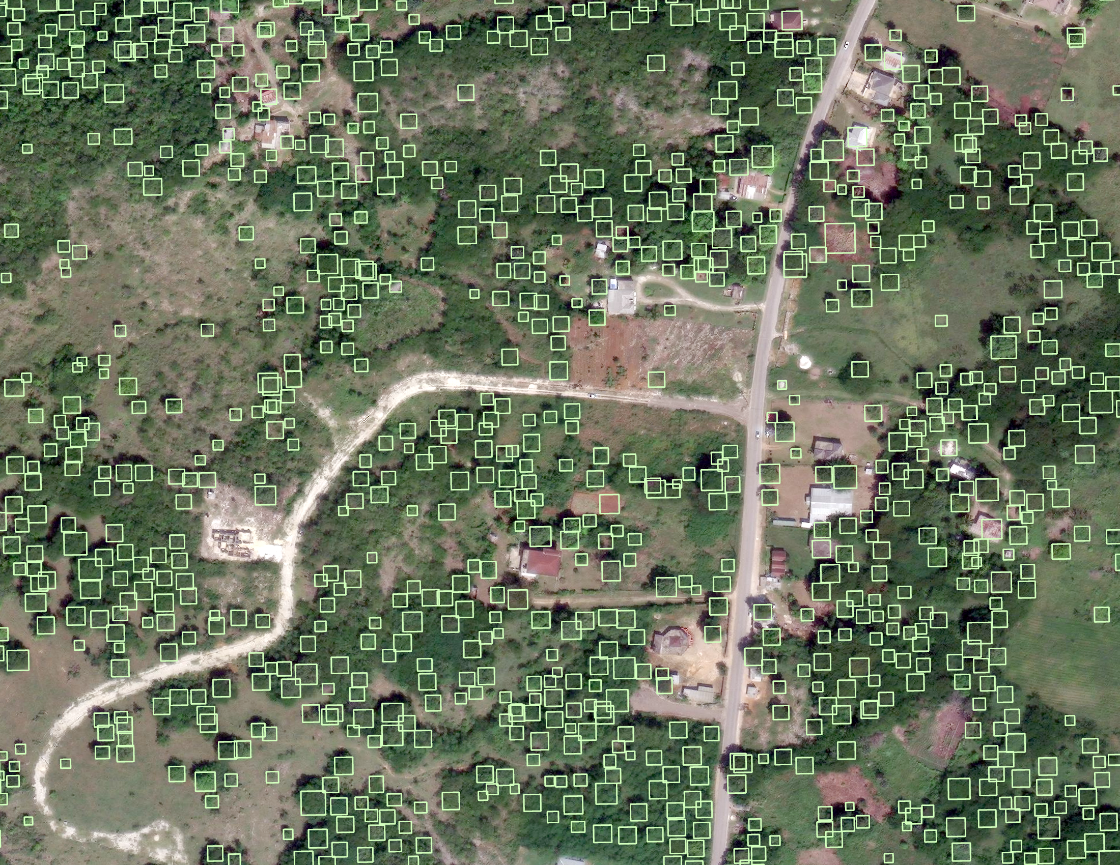 Image with green boxes over most trees, detected with AI model
