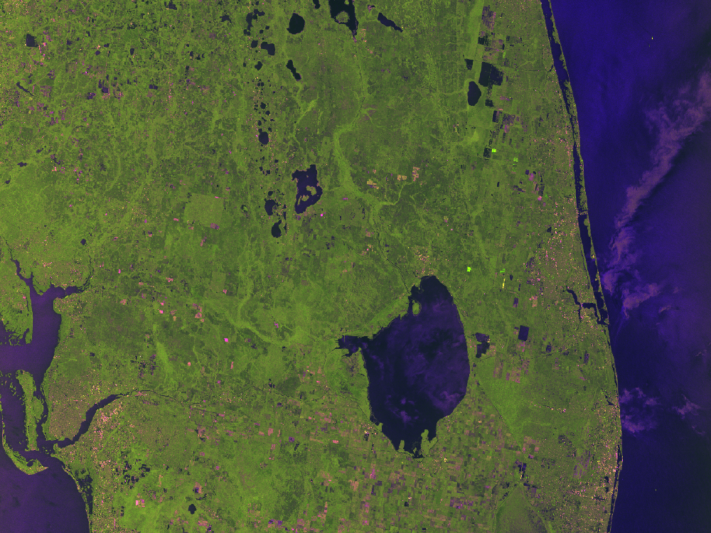 Processing Sythentic Aperture Radar (SAR) Data