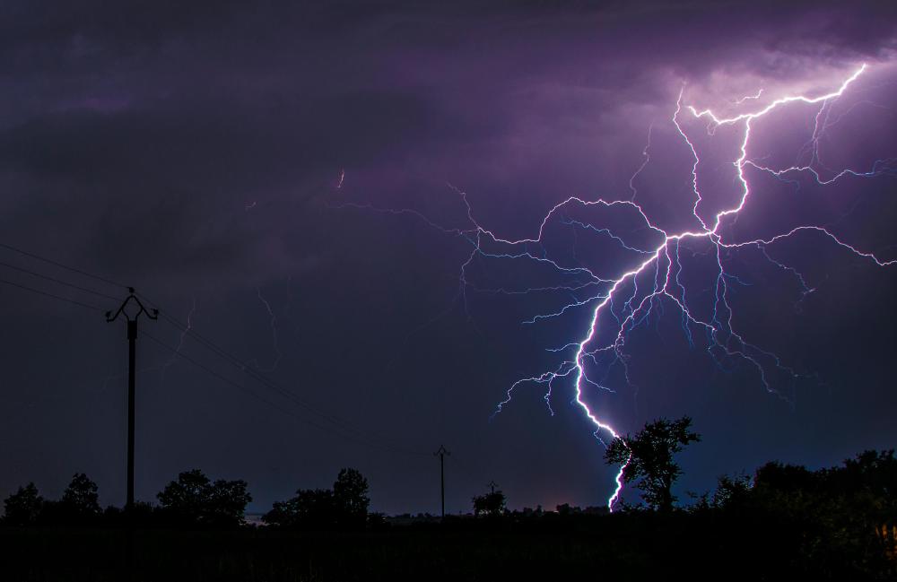Florida 2023 Lightning-Caused Wildfire Season