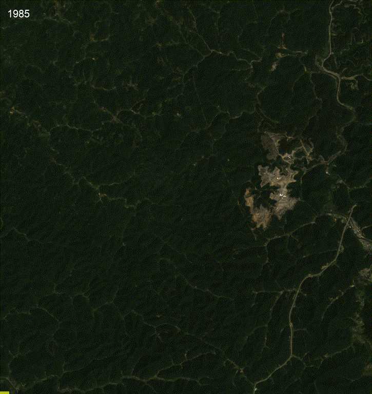 Timelapse of satellite images of a mined site, showing more and more green landscapes turning to brown.
