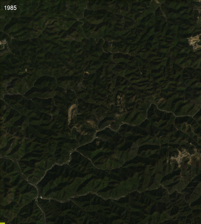 Timelapse of satellite images of a mined site, showing more and more green landscapes turning to brown.