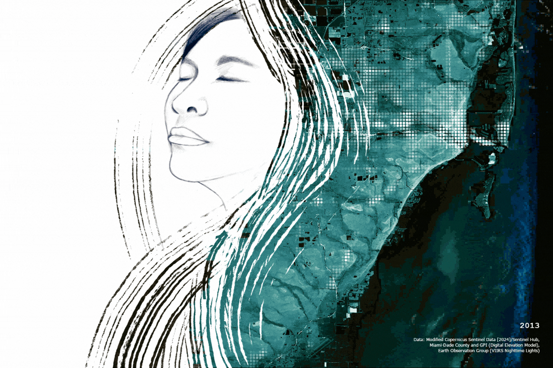 A digital self portrait, overlaid with a timelapse of nighttime lights over Miami.